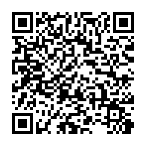 読み取り用QRコード｜釣り船 桜井丸